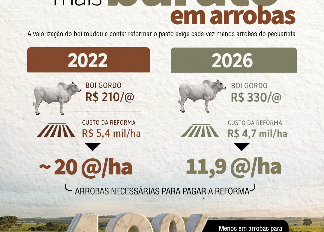 Infográfico: reformar o pasto exigia cerca de 20 arrobas por hectare em 2022 e passou a exigir 11,9 arrobas por hectare em 2026, queda de 40%