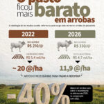 Infográfico: reformar o pasto exigia cerca de 20 arrobas por hectare em 2022 e passou a exigir 11,9 arrobas por hectare em 2026, queda de 40%